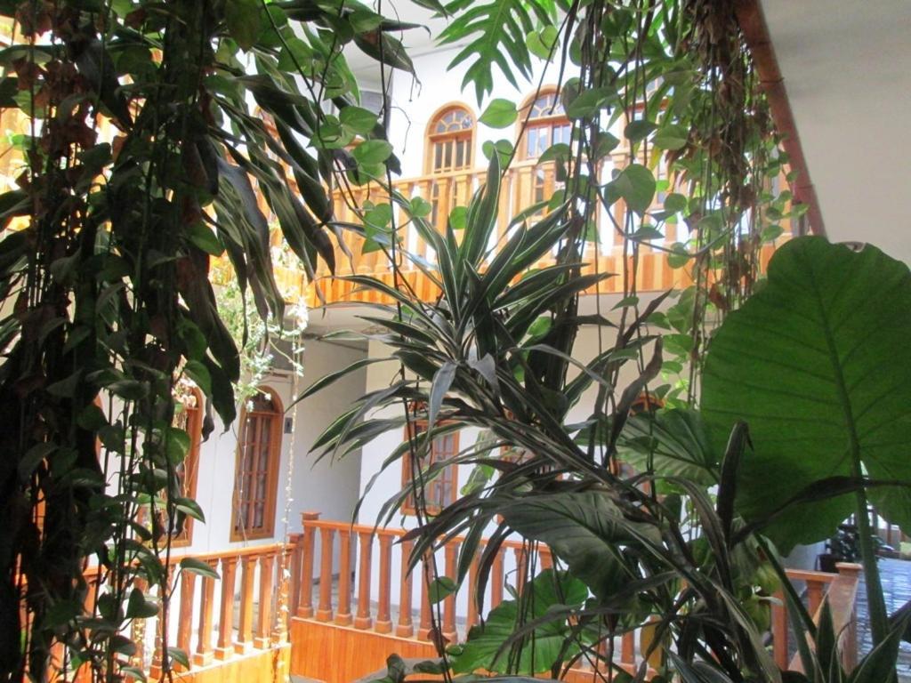 Hotel Guzman ヒリトゥラ エクステリア 写真